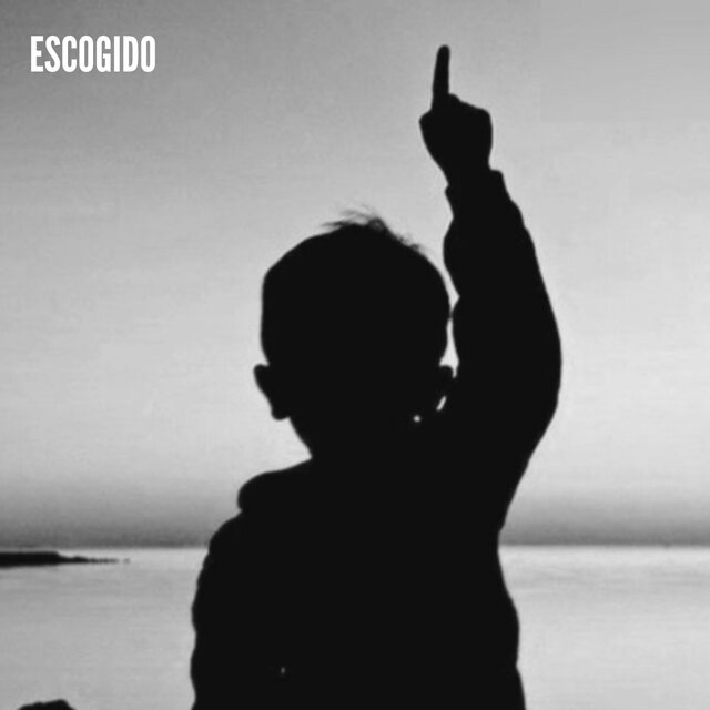 ESCOGIDO