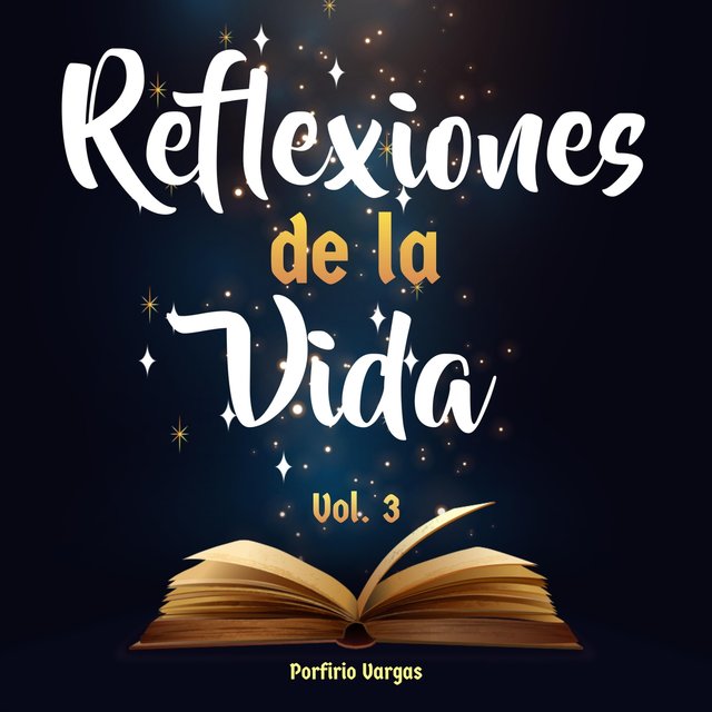 Reflexiones de la Vida, Vol. 3