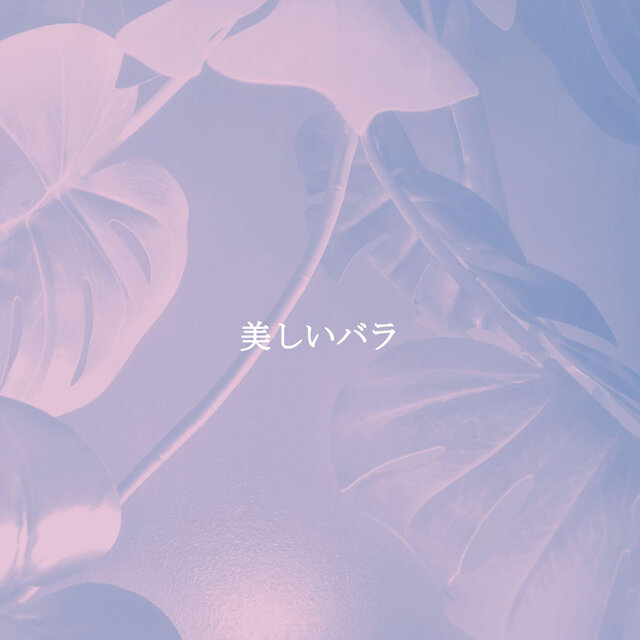 美しいバラ