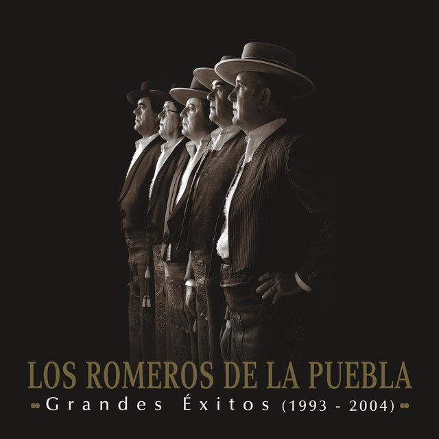 Grandes Exitos 1993-2004