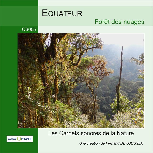 Équateur: Forêt des nuages