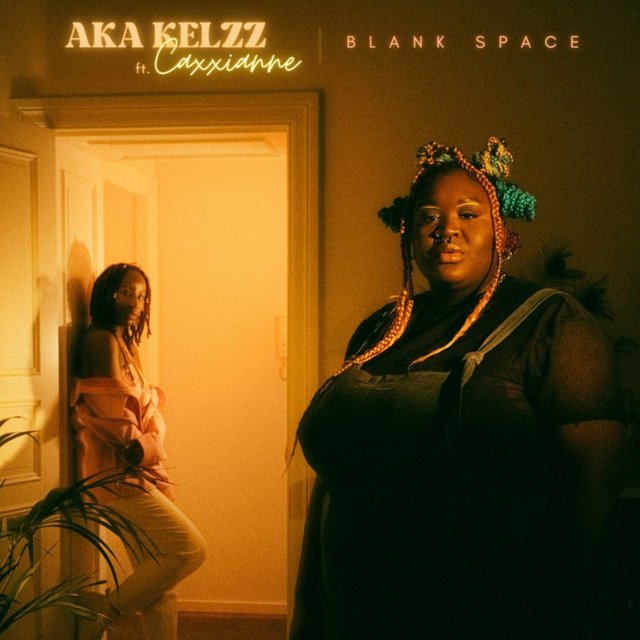Blank Space (feat. Caxxianne) [Remix]
