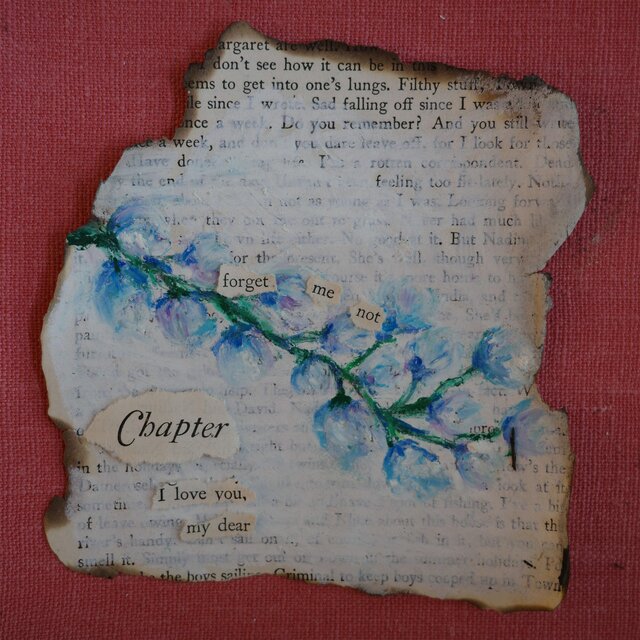 Forget-me-not