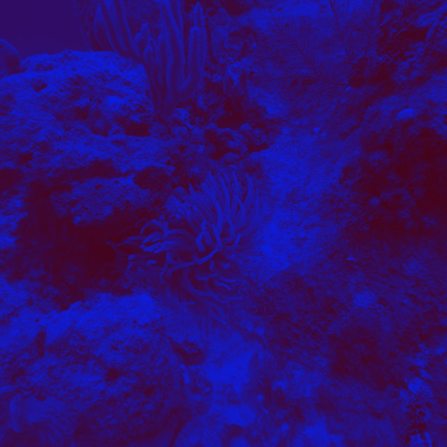Azul da Cor do Mar (Cover)