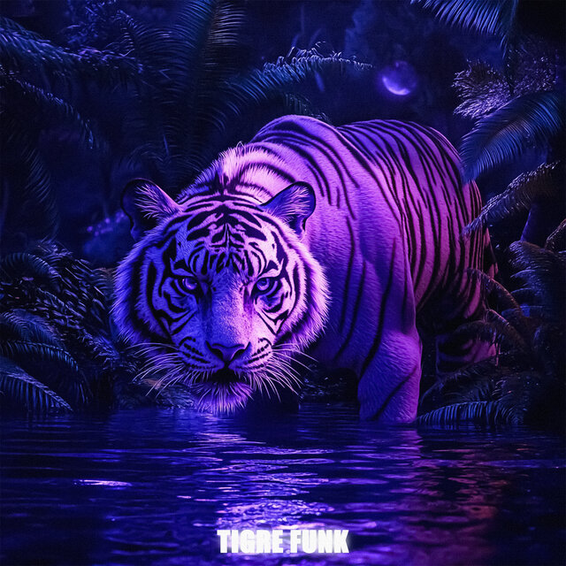 TIGRE FUNK