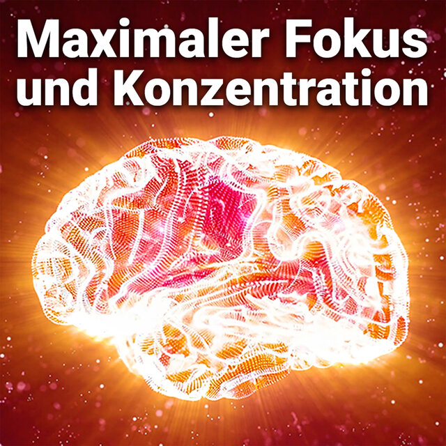 Maximaler Fokus und Konzentration