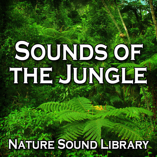Sounds of the Jungle (Nature Sounds)