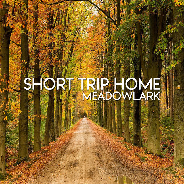 Short Trip Home