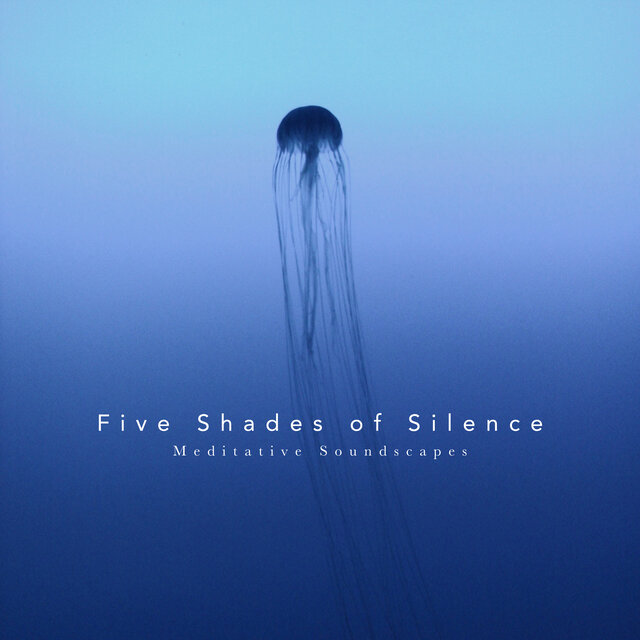 Five Shades of Silence - Meditative Soundscapes