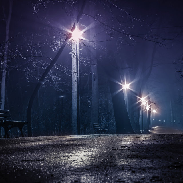 Dreamy Sleepy Nights | Forest Music