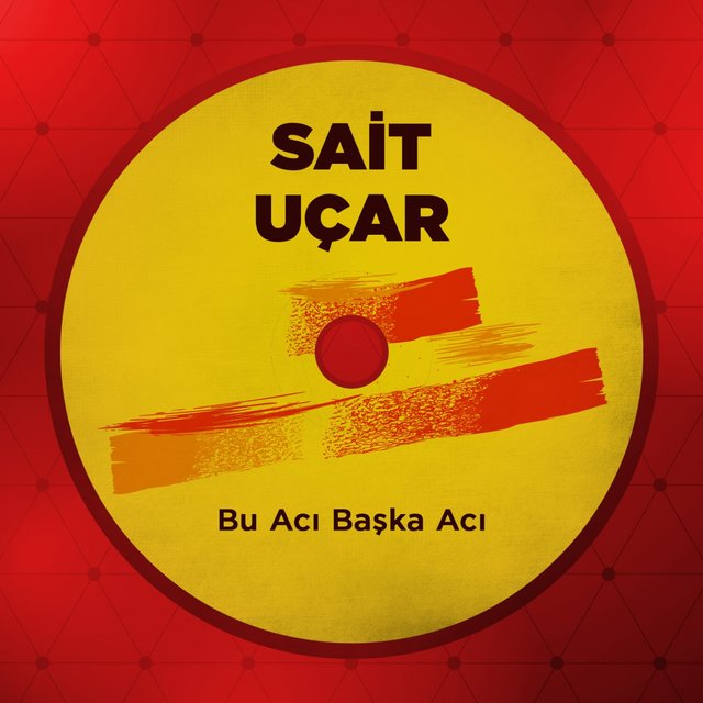Bu Acı Başka Acı