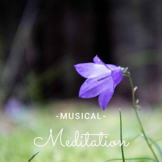 Musical Meditation