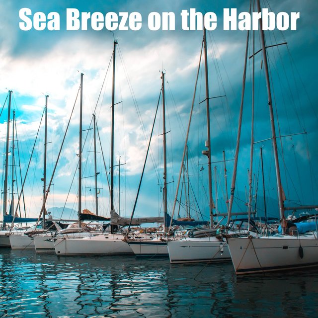 Sea Breeze on the Harbor
