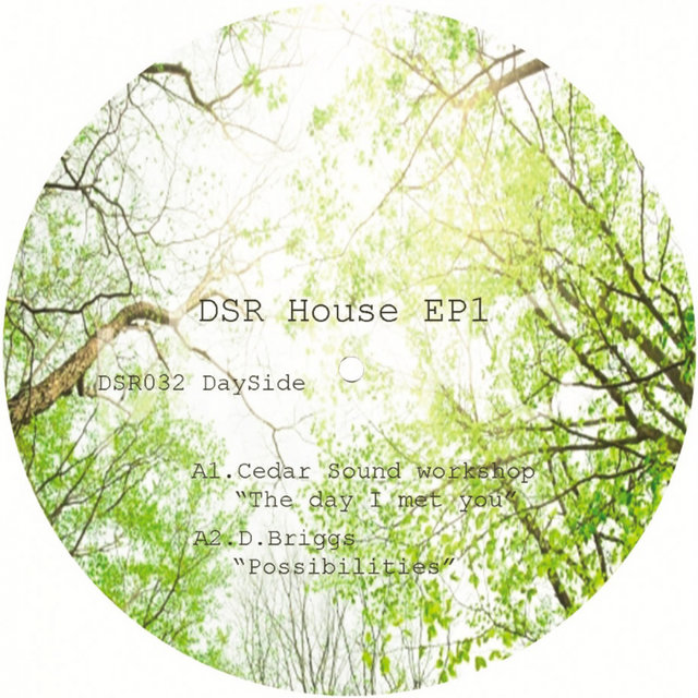 DSR House EP1