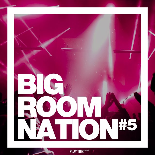 Big Room Nation, Vol. 5
