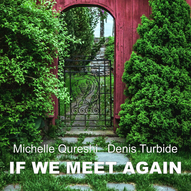 If We Meet Again