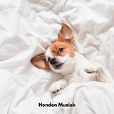 Honden Lullaby Bliss