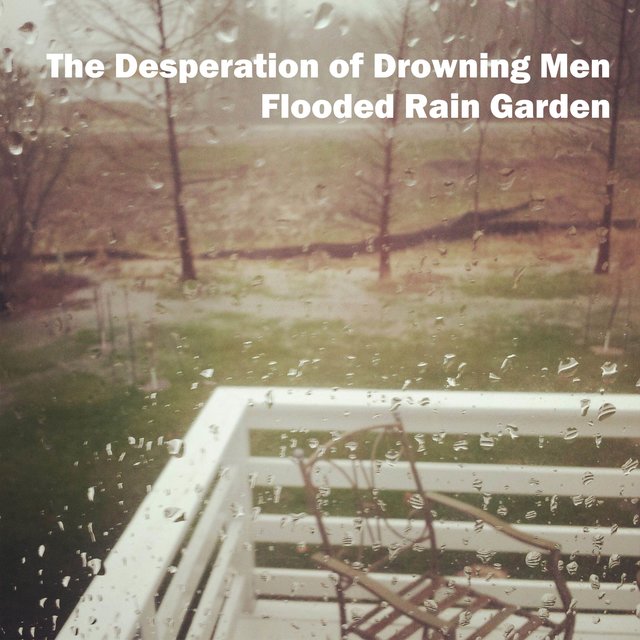 Flooded Rain Garden