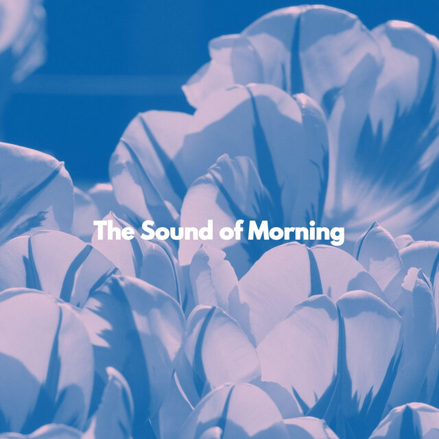 The Sound of Morning