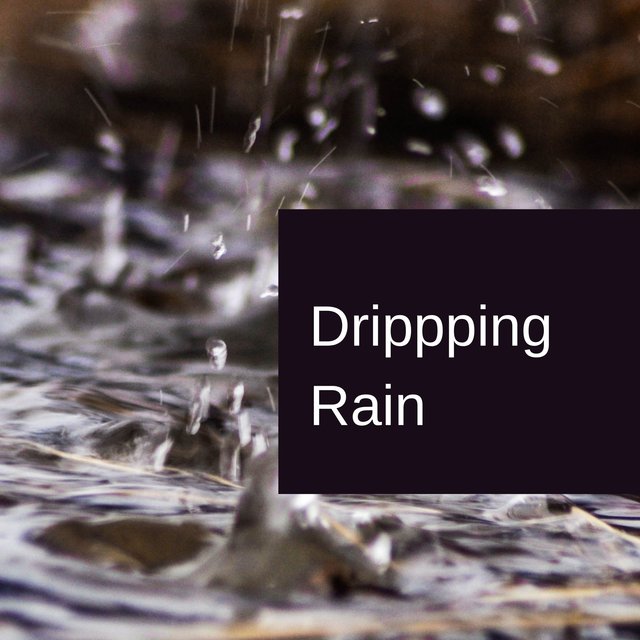 Dripping Rain