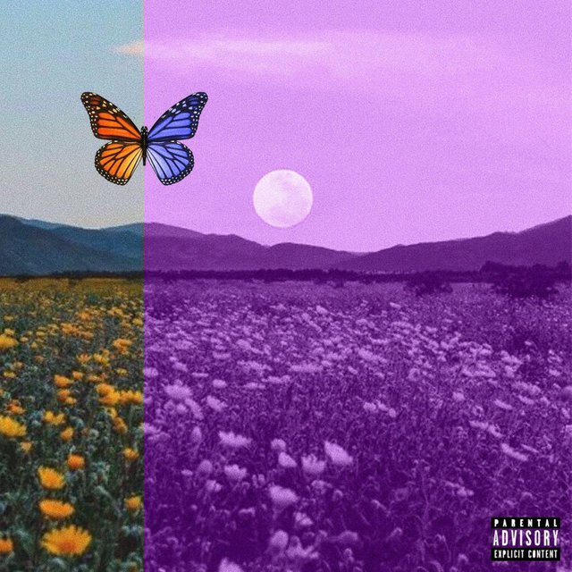 Purple Zone (feat. AndyHas)