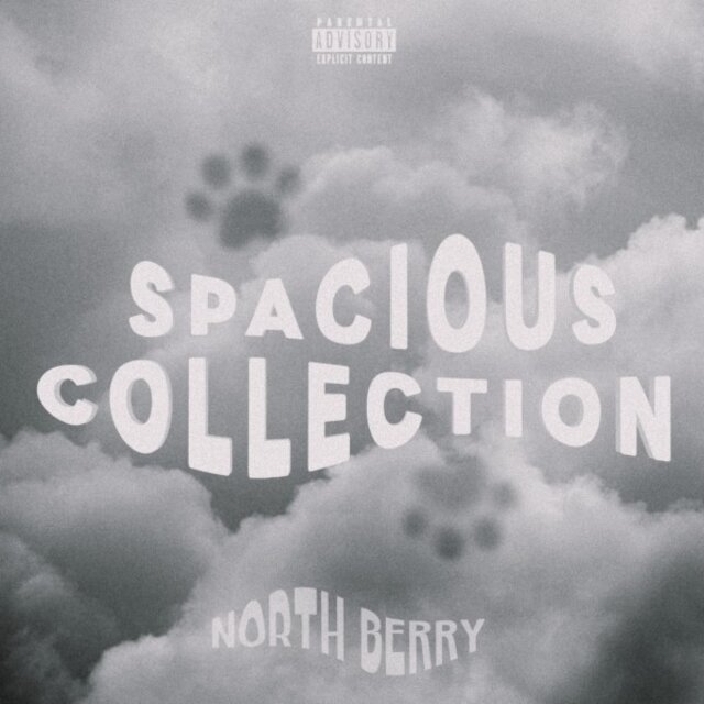 Spacious Collection
