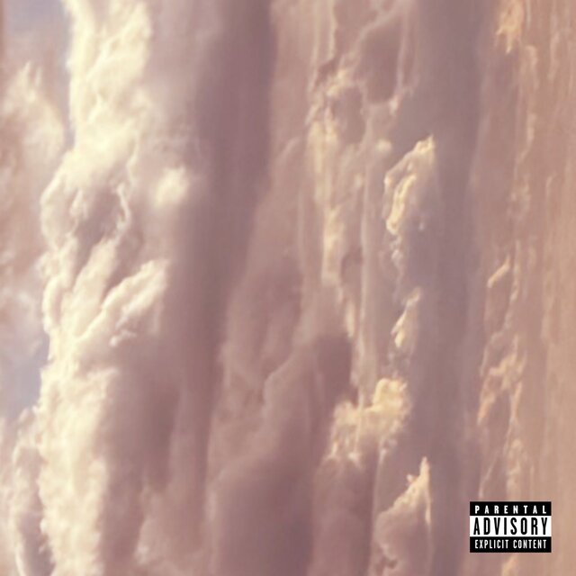 NOT FOR THE ALBUM