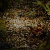 Melodic Pulse of Earth