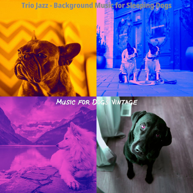 Trio Jazz - Background Music for Sleeping Dogs