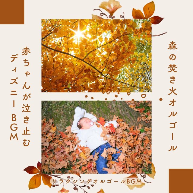 Forest Campfire Music Box - Disney BGM to Calm a Crying Baby