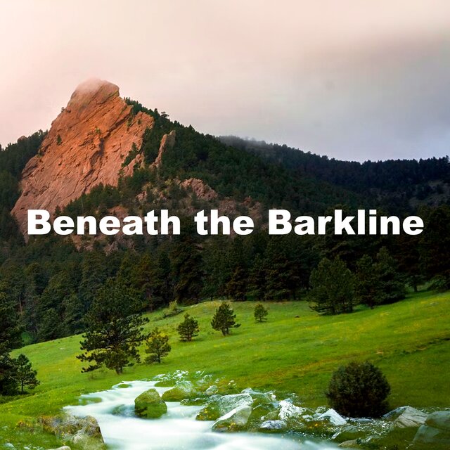 Beneath the Barkline