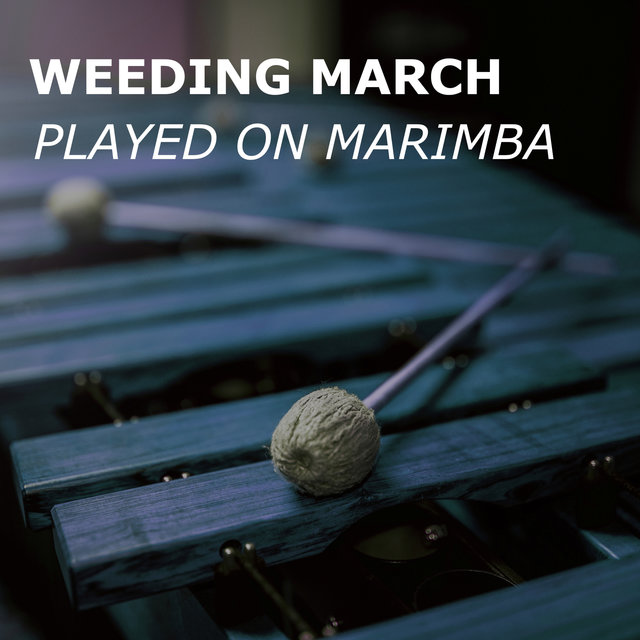 Wedding March (played on Marimba)