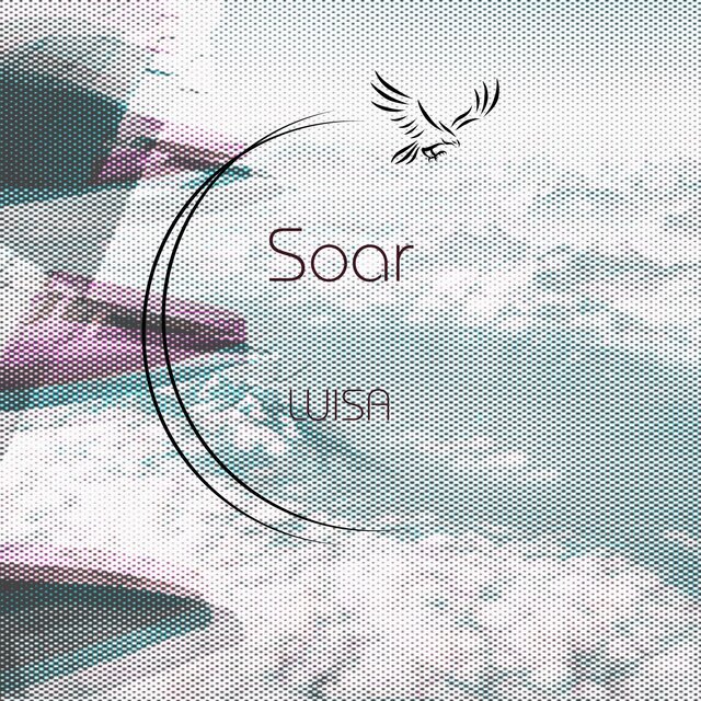 Soar