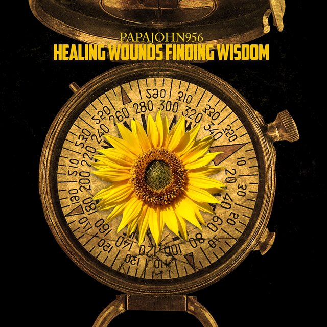 Healing Wounds Finding Wisdom