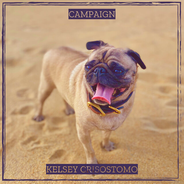 Campaign