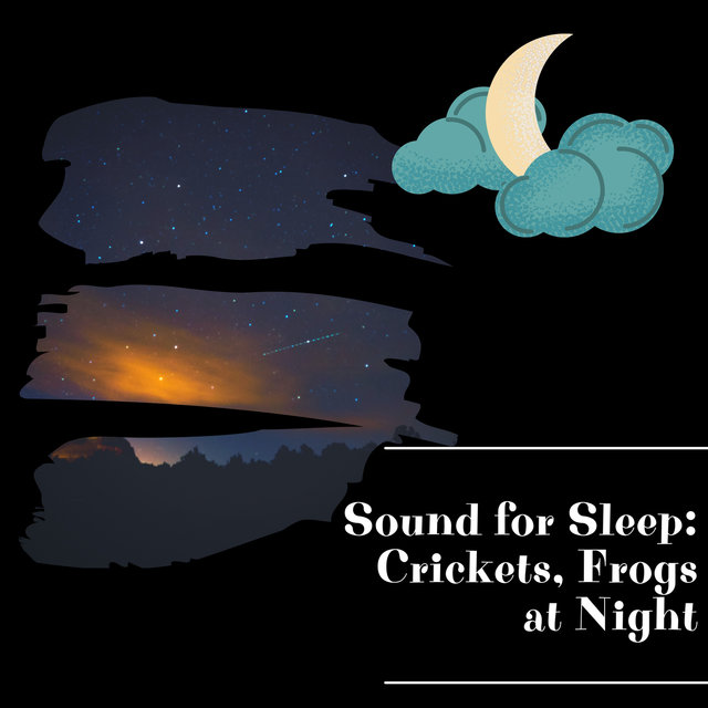 Sound for Sleep: Crickets, Frogs at Night