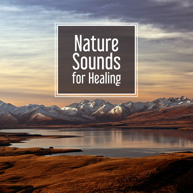 Nature Sounds for Healing – Beautiful Sounds, Relaxing Waves, Easy Listening, Stress Free, New Age Music