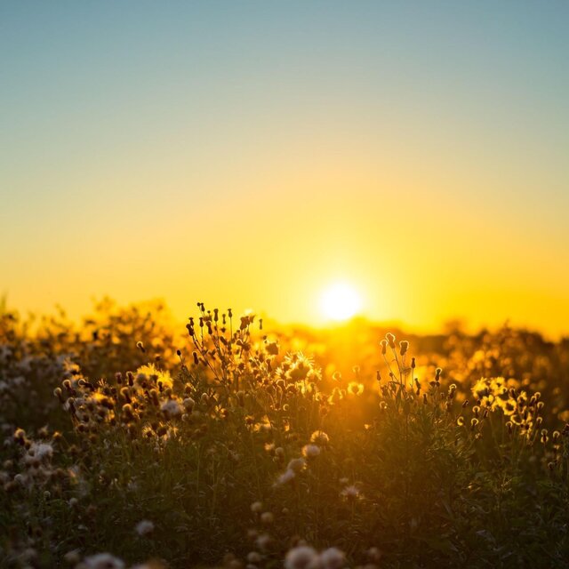 Springtime Afternoons (Cello Version)