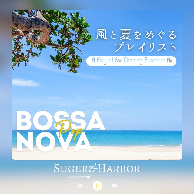 A Playlist for Chasing Summer Air