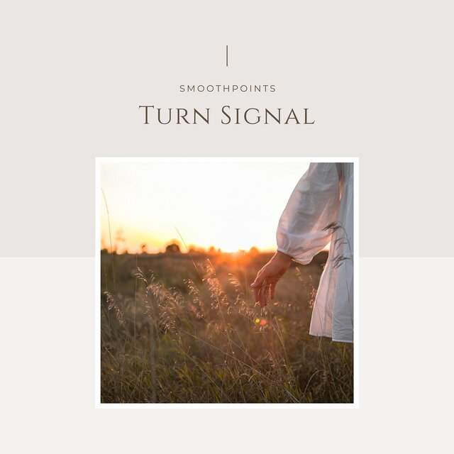 Turn Signal