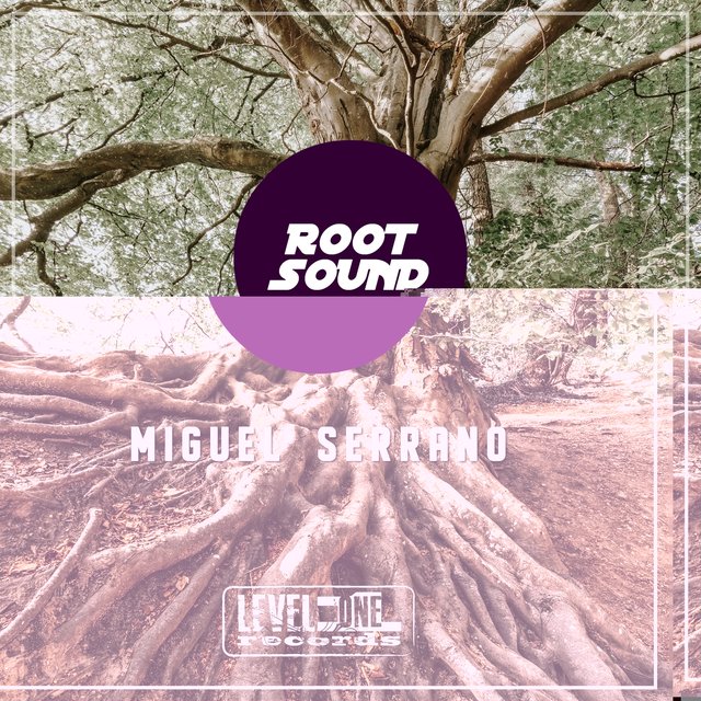 Root Sound