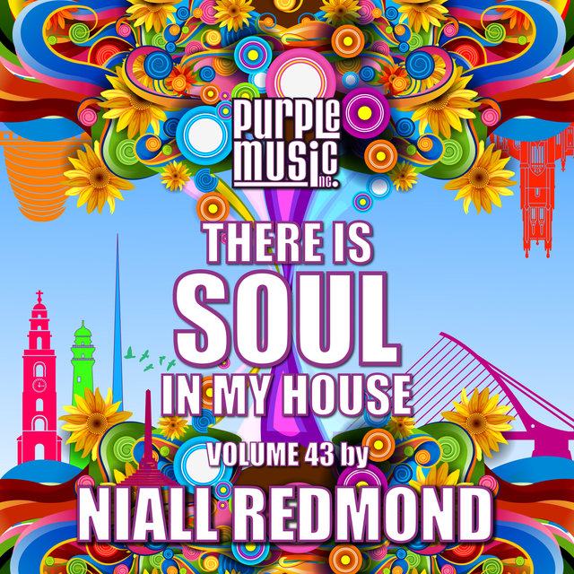 Niall Redmond Presents There is Soul in My House, Vol. 43