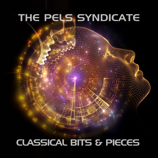 Classical Bits & Pieces