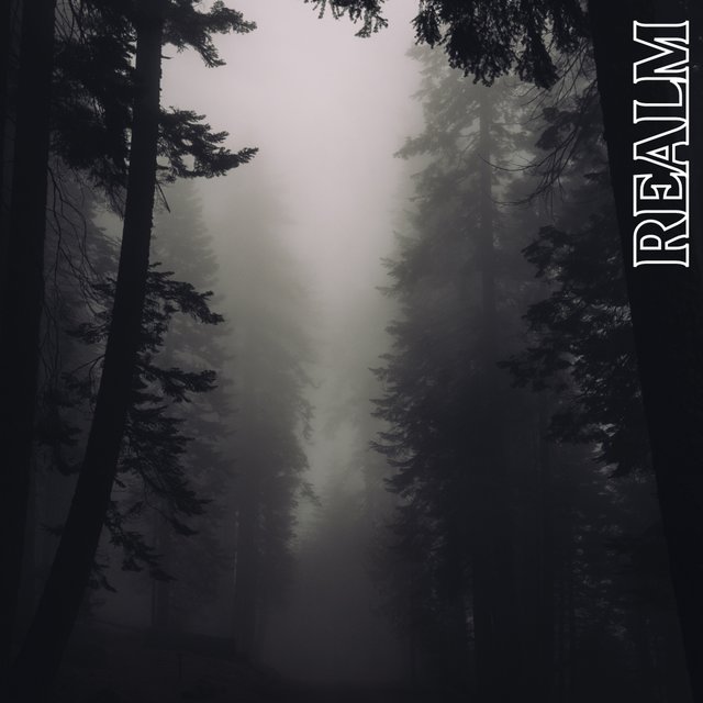 Realm