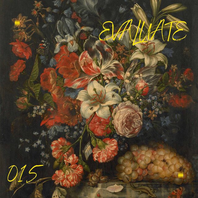 015/EVALUATE