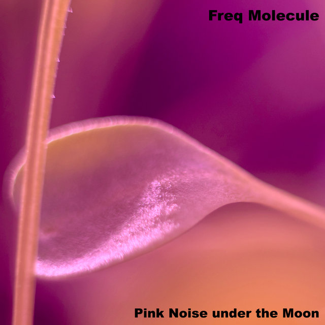 Pink Noise under the Moon