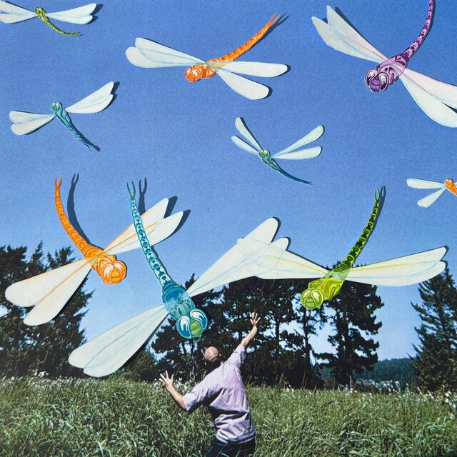 Dragonfly DEMOS