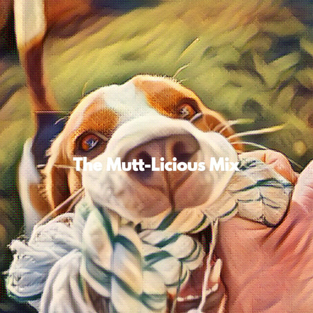 The Mutt-Licious Mix