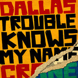 Trouble Knows My Name
