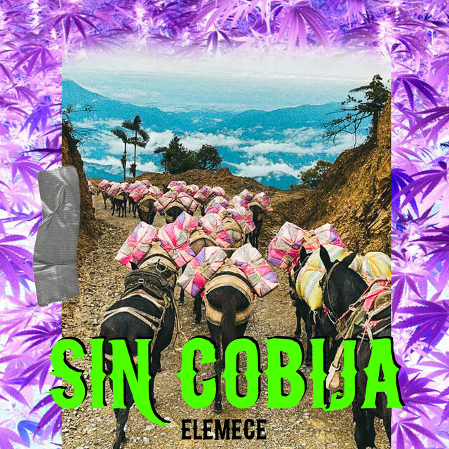 Sin Cobija